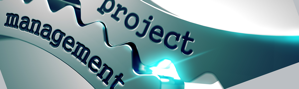 Management de proiect